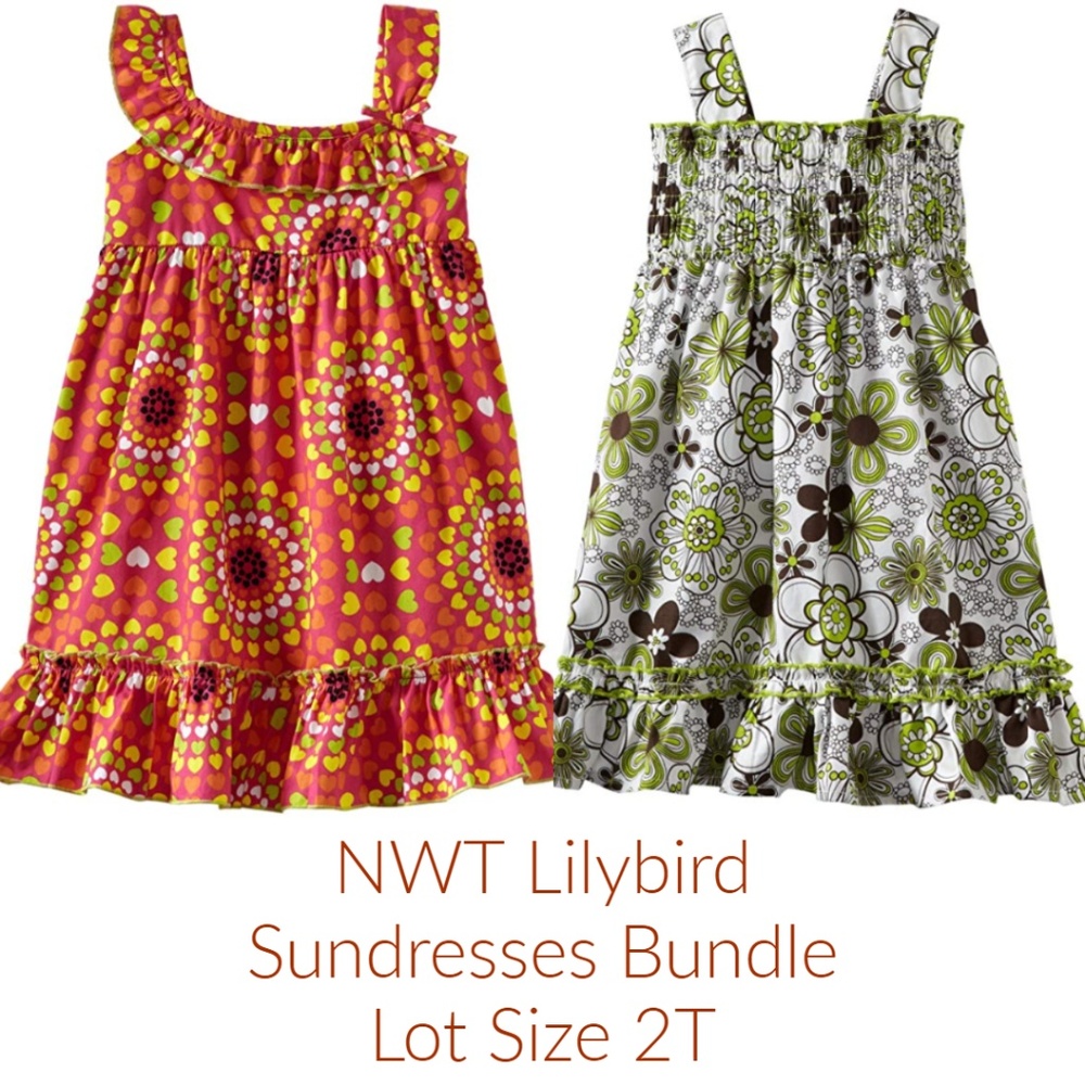 Lulybird Girls Smocked Ruffle Sundress Clothes Dress Lot Floral size 2T NWT